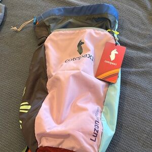 Cotopaxi Luzon Backpack in Pink and Light Blue